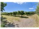 27 Clohesy River Road, Koah QLD 4881