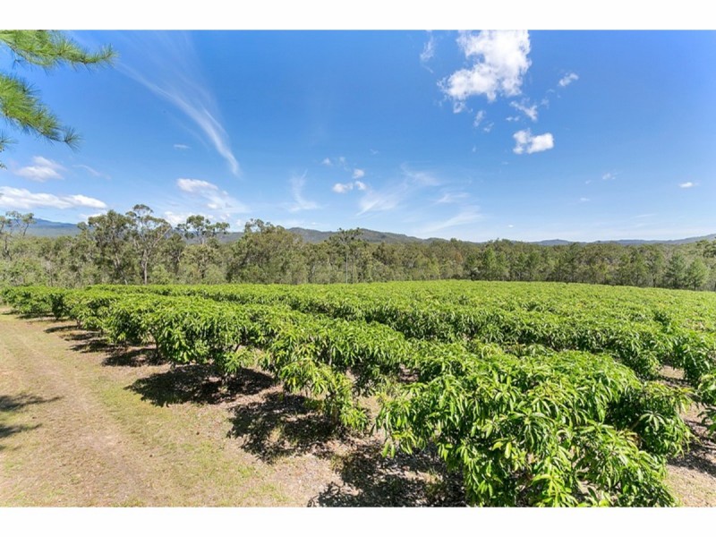 27 Clohesy River Road, Koah QLD 4881