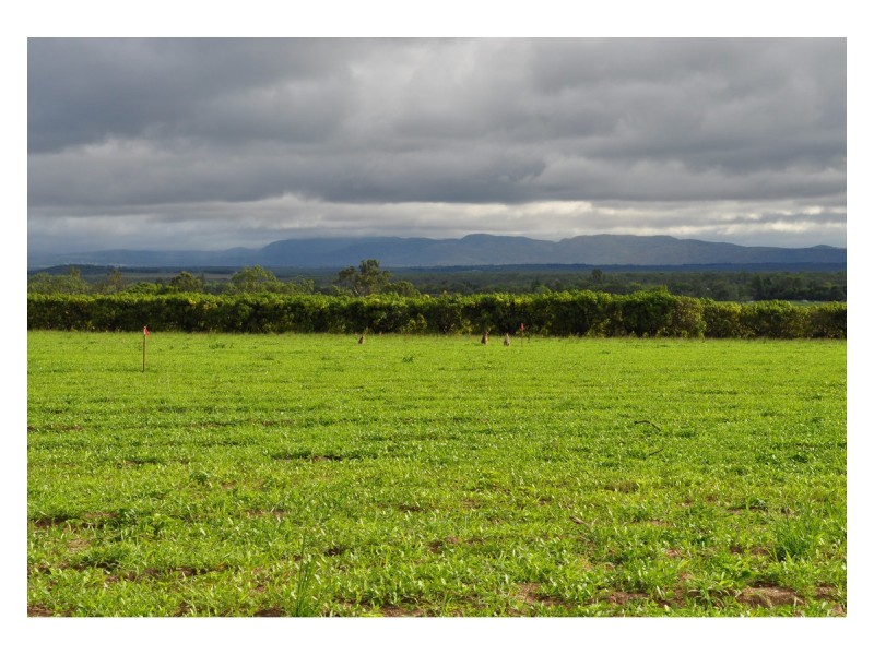 Lot 305,  Bellevue Drive, Mareeba QLD 4880