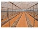 204 Graham Road, Tolga QLD 4882