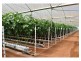 204 Graham Road, Tolga QLD 4882