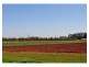204 Graham Road, Tolga QLD 4882
