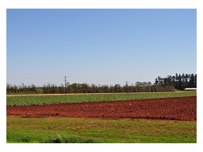 204 Graham Road, Tolga QLD 4882