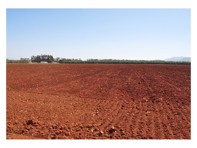 204 Graham Road, Tolga QLD 4882