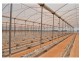 204 Graham Road, Tolga QLD 4882