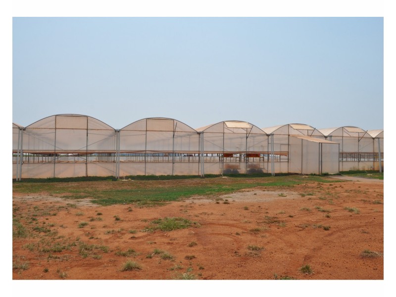 204 Graham Road, Tolga QLD 4882