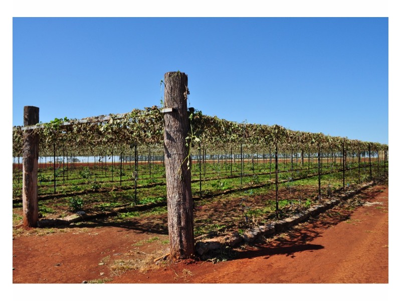 204 Graham Road, Tolga QLD 4882