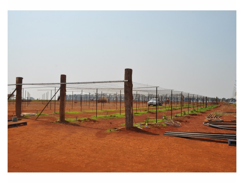 204 Graham Road, Tolga QLD 4882