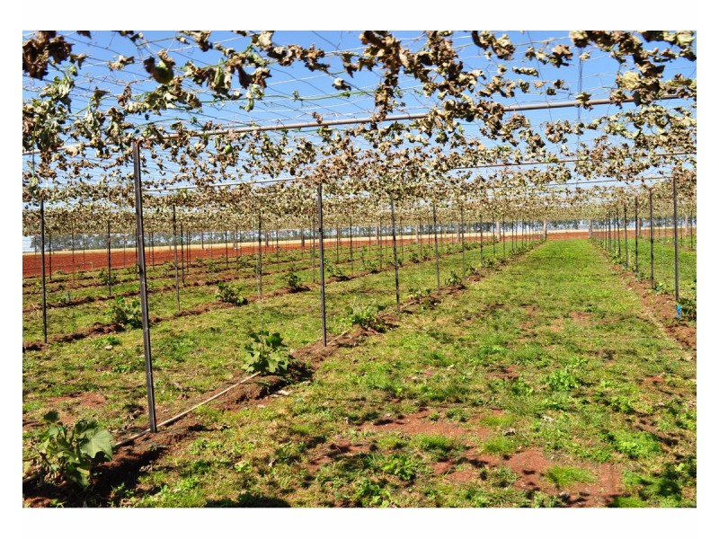204 Graham Road, Tolga QLD 4882