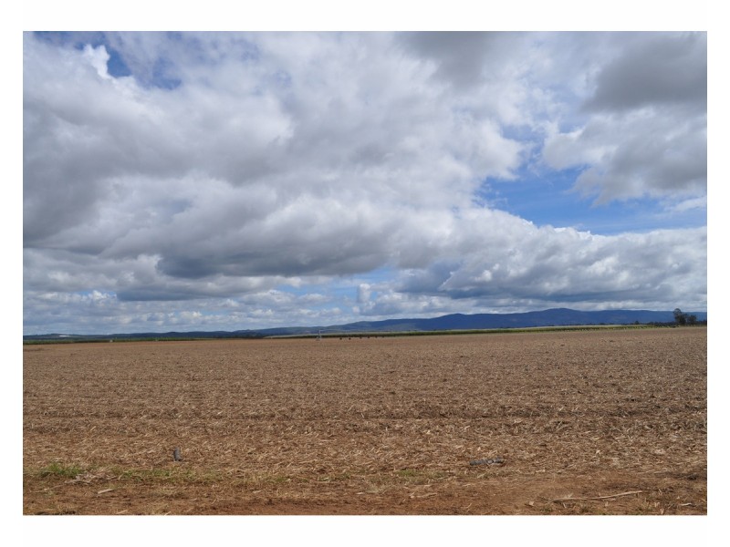 341 Mulligan Highway, Mareeba QLD 4880