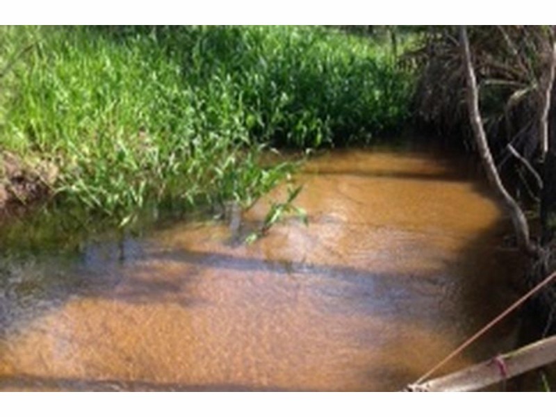 Springs, Mareeba QLD 4880