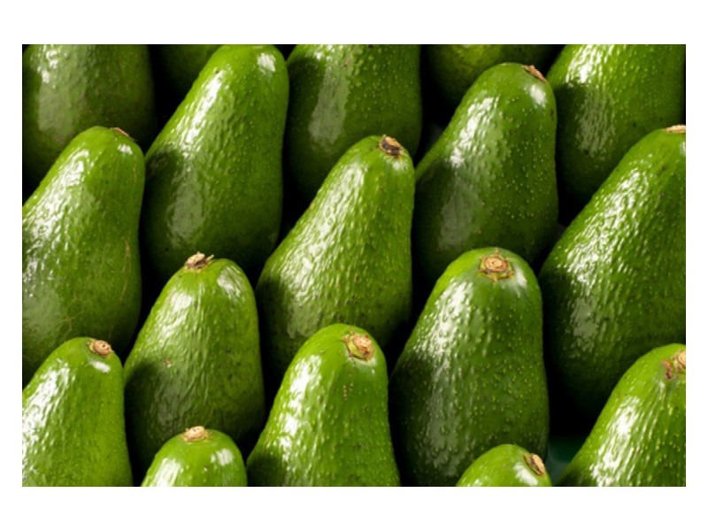 489 Springs Road, Paddys Green QLD 4880