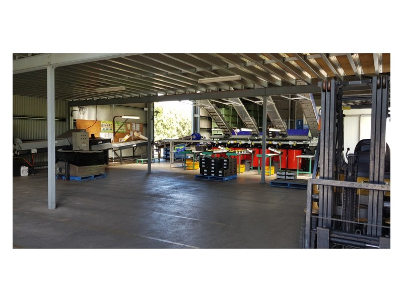 489 Springs Road, Paddys Green QLD 4880