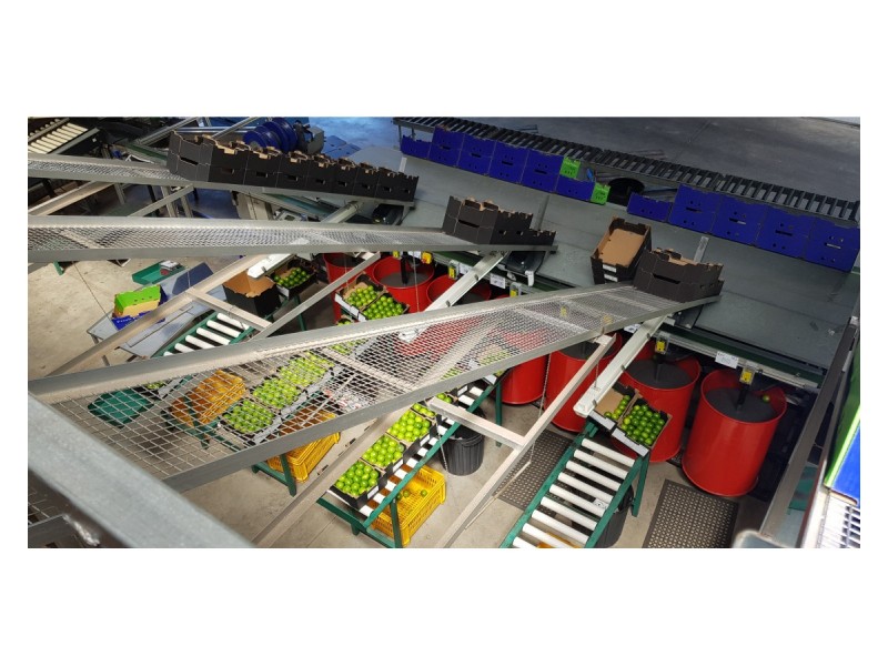 489 Springs Road, Paddys Green QLD 4880