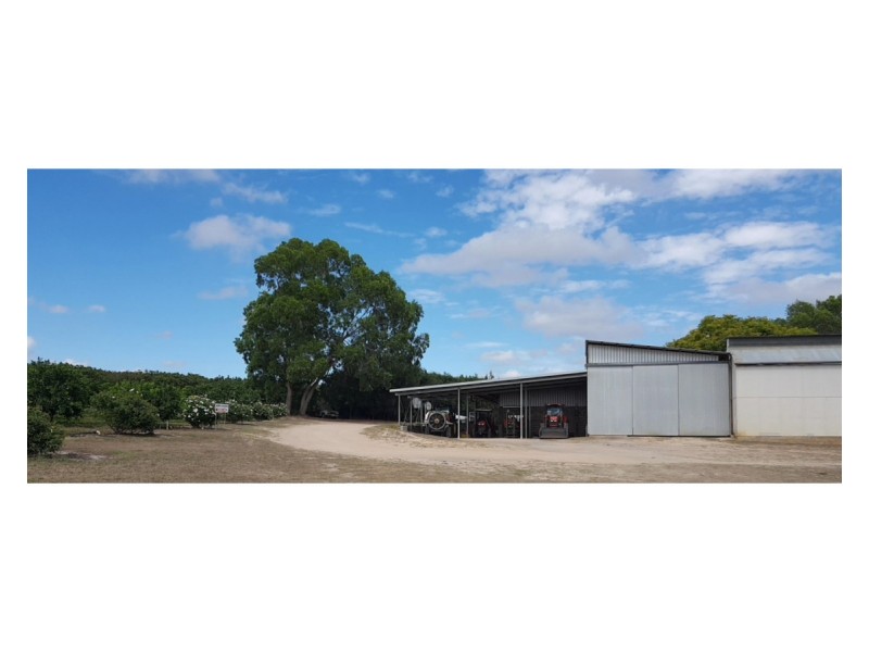 489 Springs Road, Paddys Green QLD 4880