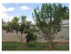 39 Martin Avenue, Mareeba QLD 4880