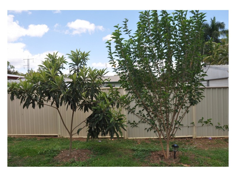 39 Martin Avenue, Mareeba QLD 4880