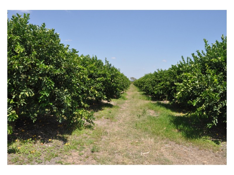 Lot 5, 106 Wright Road, Mareeba QLD 4880