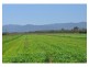 Lot 5, 106 Wright Road, Mareeba QLD 4880