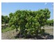 Lot 5, 106 Wright Road, Mareeba QLD 4880