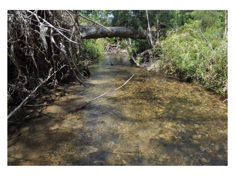 Lot 5, 106 Wright Road, Mareeba QLD 4880