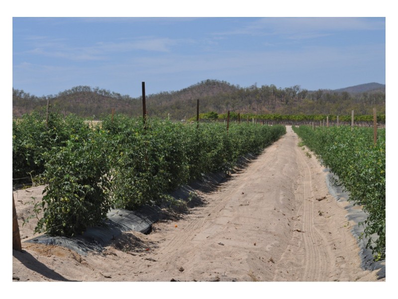 750 Leafgold Weir Road, Dimbulah QLD 4872