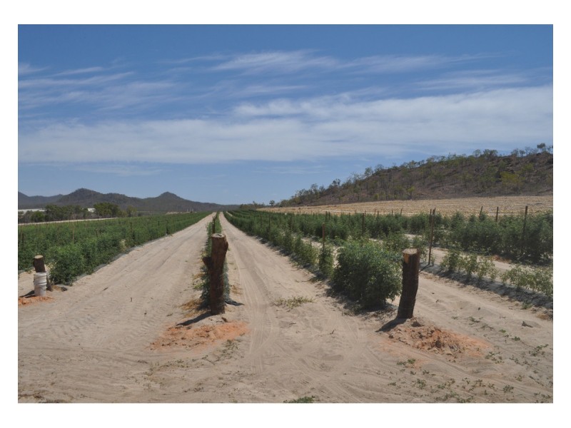 750 Leafgold Weir Road, Dimbulah QLD 4872