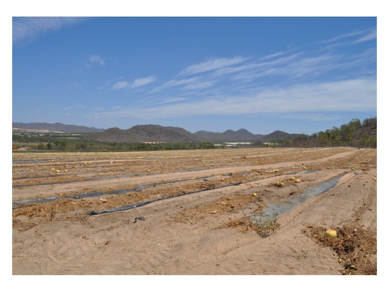 750 Leafgold Weir Road, Dimbulah QLD 4872