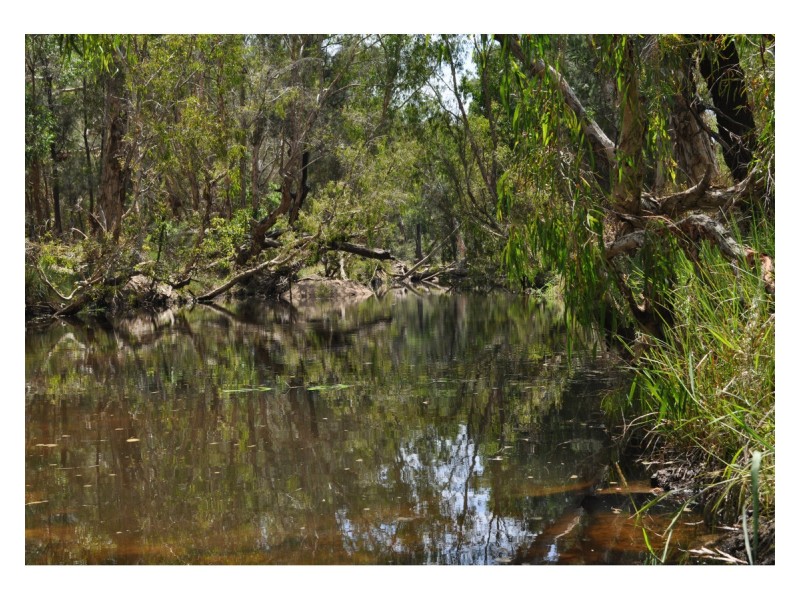 750 Leafgold Weir Road, Dimbulah QLD 4872