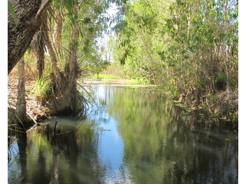 Lot 310, Bellevue Estate, Mareeba QLD 4880