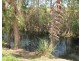 Lot 310, Bellevue Estate, Mareeba QLD 4880