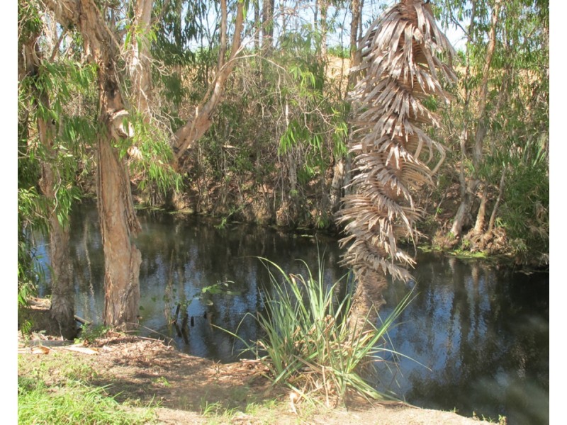 Lot 310, Bellevue Estate, Mareeba QLD 4880