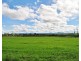 Lot 310, Bellevue Estate, Mareeba QLD 4880
