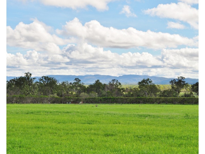 Lot 310, Bellevue Estate, Mareeba QLD 4880