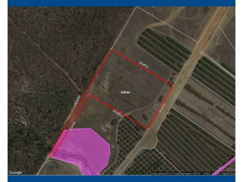 Lot 310, Bellevue Estate, Mareeba QLD 4880 Floorplan