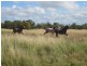 48 Green Road, Mutchilba QLD 4872