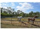 48 Green Road, Mutchilba QLD 4872