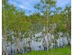 7 Annie Court, Mareeba QLD 4880