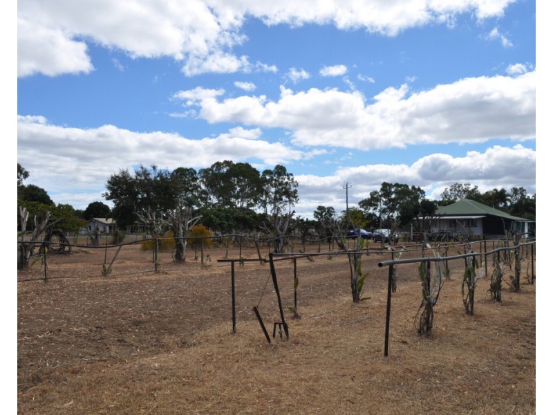 391 Ray Road, Mareeba QLD 4880