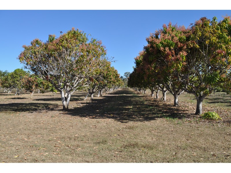 207 Martin Avenue, Mareeba QLD 4880