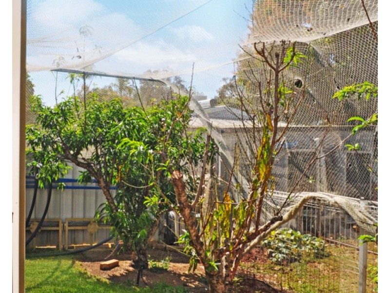 11 Donlen Street, Mareeba QLD 4880