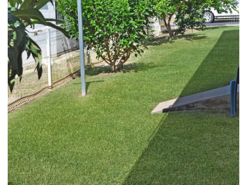 11 Donlen Street, Mareeba QLD 4880