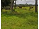 400 McGrath Road, Mareeba QLD 4880