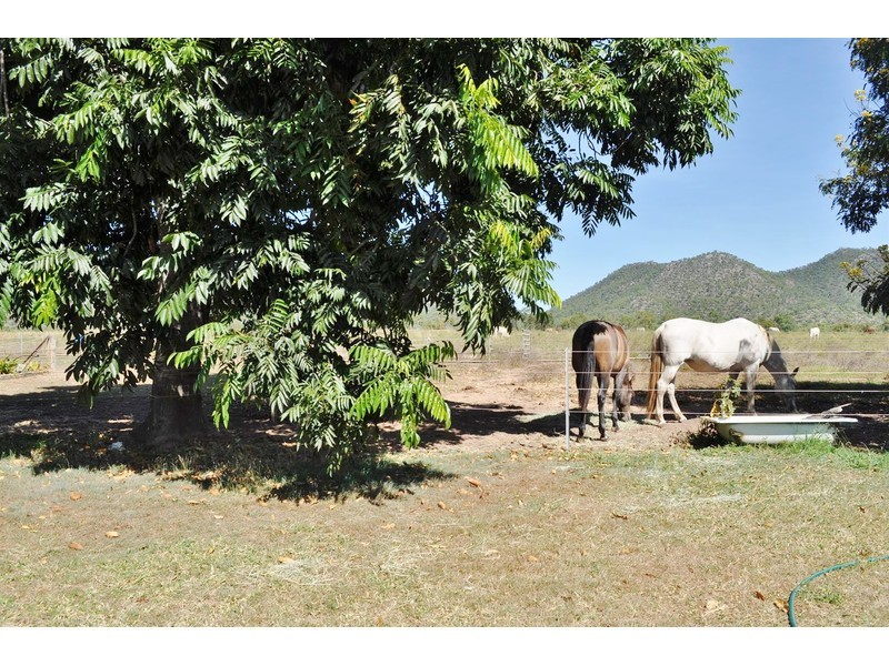 Lot 113,  Eureka Creek Road, Mareeba QLD 4880