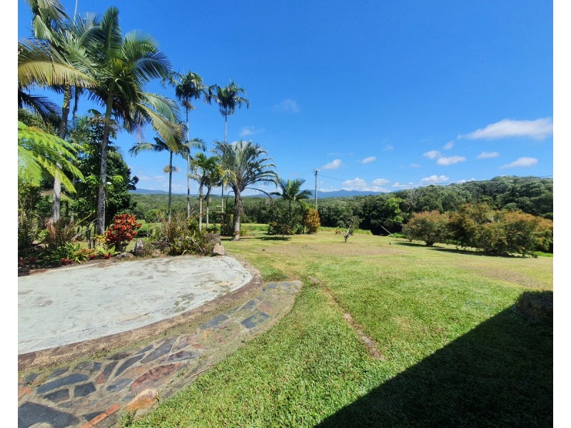 475 Pinnacle Road, Julatten QLD 4871