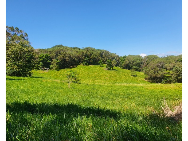 475 Pinnacle Road, Julatten QLD 4871