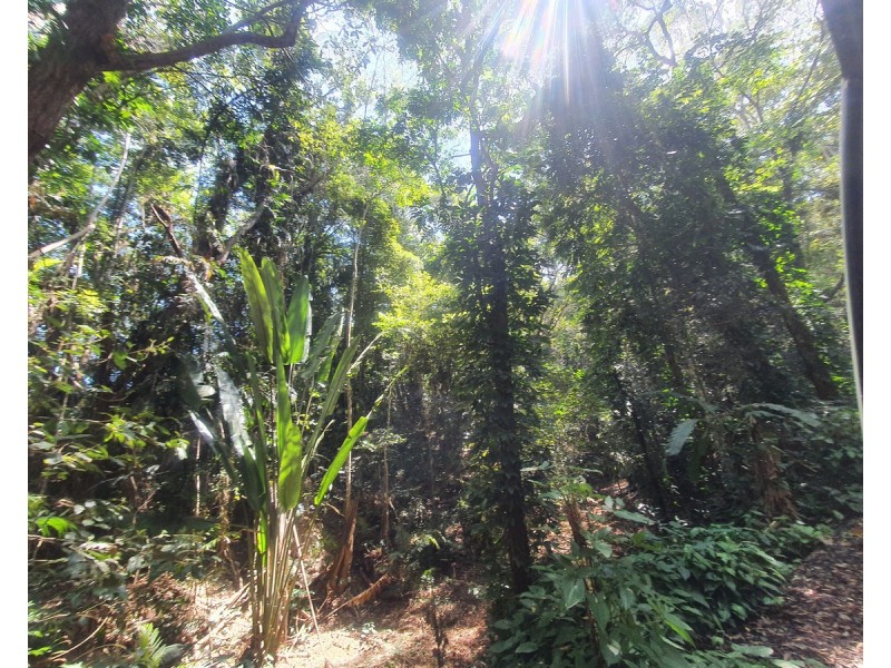 475 Pinnacle Road, Julatten QLD 4871