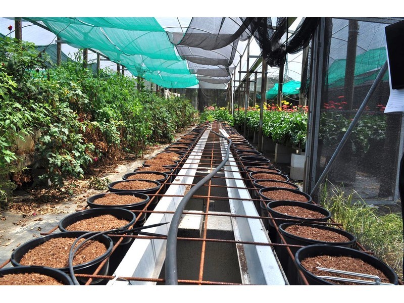 4521 Kennedy Highway, Mareeba QLD 4880