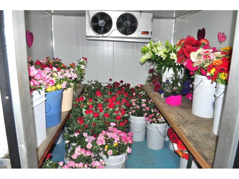 4521 Kennedy Highway, Mareeba QLD 4880