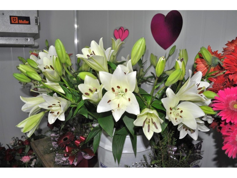 4521 Kennedy Highway, Mareeba QLD 4880